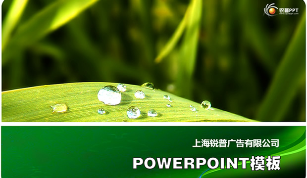 锐普出品春天ppt模板牛品源码-源码下载-源码社区-zblog主题插件-PHP源码-三合一源码-直播源码-短视频源码-APP源码-即时通讯-源码-交友源码牛品源码网