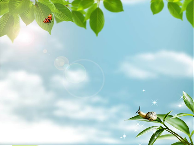蜗牛 瓢虫与绿叶——春天ppt模板牛品源码-源码下载-源码社区-zblog主题插件-PHP源码-三合一源码-直播源码-短视频源码-APP源码-即时通讯-源码-交友源码牛品源码网