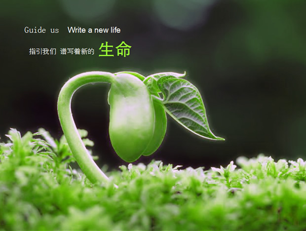 《给你一点“绿”》——自然春意ppt模板牛品源码-源码下载-源码社区-zblog主题插件-PHP源码-三合一源码-直播源码-短视频源码-APP源码-即时通讯-源码-交友源码牛品源码网
