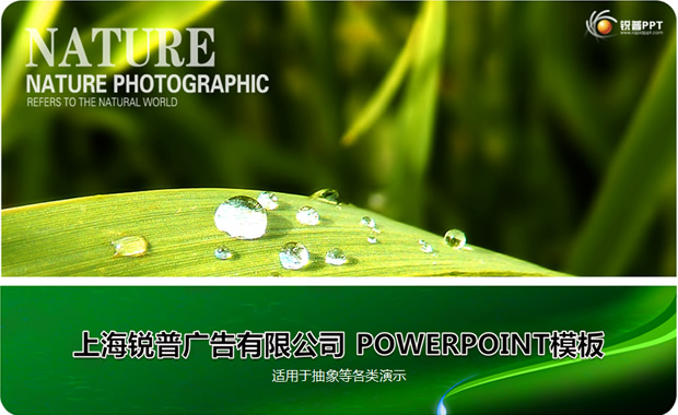 绿叶上的露珠——绿色自然ppt模板牛品源码-源码下载-源码社区-zblog主题插件-PHP源码-三合一源码-直播源码-短视频源码-APP源码-即时通讯-源码-交友源码牛品源码网