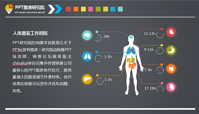 人体器官指示说明ppt图表牛品源码-源码下载-源码社区-zblog主题插件-PHP源码-三合一源码-直播源码-短视频源码-APP源码-即时通讯-源码-交友源码牛品源码网