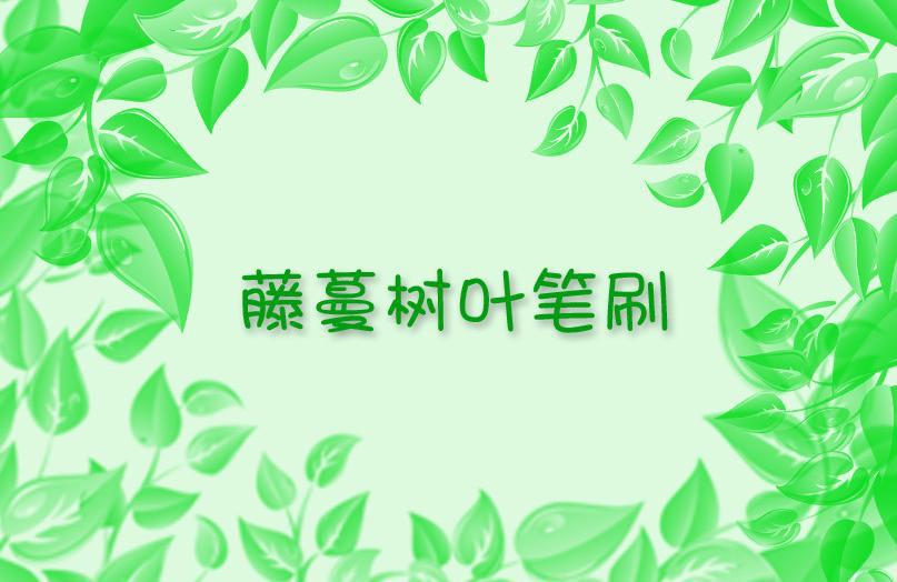 藤蔓树叶ps笔刷牛品源码-源码下载-源码社区-zblog主题插件-PHP源码-三合一源码-直播源码-短视频源码-APP源码-即时通讯-源码-交友源码牛品源码网