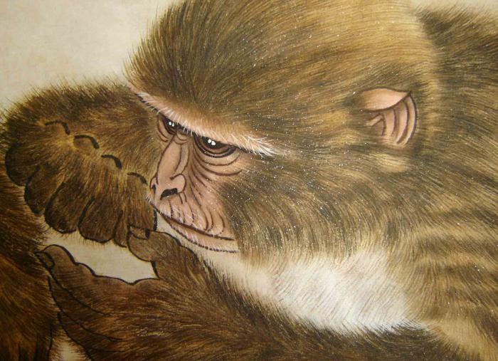 猴子工笔画动物图片牛品源码-源码下载-源码社区-zblog主题插件-PHP源码-三合一源码-直播源码-短视频源码-APP源码-即时通讯-源码-交友源码牛品源码网