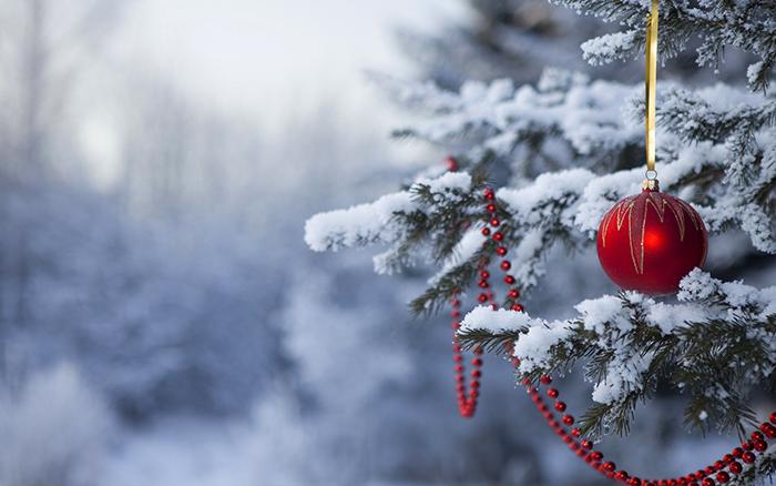 圣诞节的雪ppt背景牛品源码-源码下载-源码社区-zblog主题插件-PHP源码-三合一源码-直播源码-短视频源码-APP源码-即时通讯-源码-交友源码牛品源码网