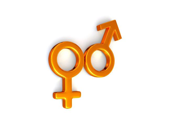 金色男女符号牛品源码-源码下载-源码社区-zblog主题插件-PHP源码-三合一源码-直播源码-短视频源码-APP源码-即时通讯-源码-交友源码牛品源码网