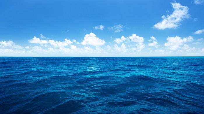 蓝天蓝色大海牛品源码-源码下载-源码社区-zblog主题插件-PHP源码-三合一源码-直播源码-短视频源码-APP源码-即时通讯-源码-交友源码牛品源码网