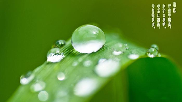 雨水的露珠图片牛品源码-源码下载-源码社区-zblog主题插件-PHP源码-三合一源码-直播源码-短视频源码-APP源码-即时通讯-源码-交友源码牛品源码网