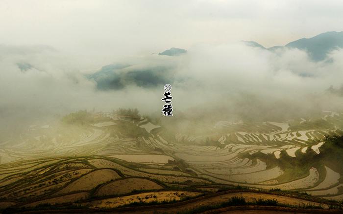 芒种云海图片牛品源码-源码下载-源码社区-zblog主题插件-PHP源码-三合一源码-直播源码-短视频源码-APP源码-即时通讯-源码-交友源码牛品源码网