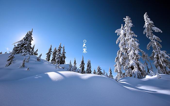 雪之大寒图片牛品源码-源码下载-源码社区-zblog主题插件-PHP源码-三合一源码-直播源码-短视频源码-APP源码-即时通讯-源码-交友源码牛品源码网