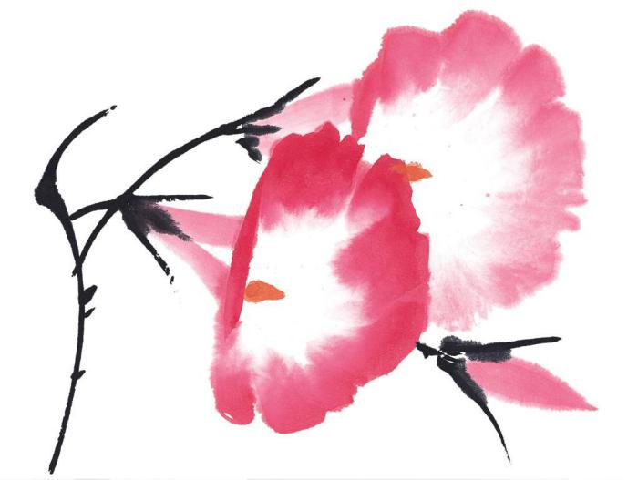 唯美国画牵牛花图片牛品源码-源码下载-源码社区-zblog主题插件-PHP源码-三合一源码-直播源码-短视频源码-APP源码-即时通讯-源码-交友源码牛品源码网