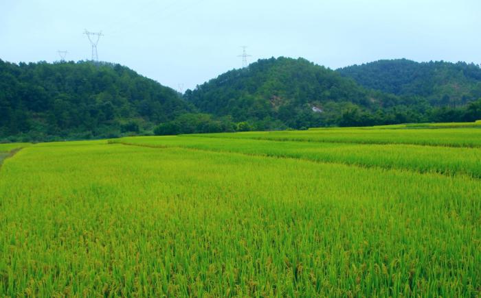 唯美紫色山水田园风光牛品源码-源码下载-源码社区-zblog主题插件-PHP源码-三合一源码-直播源码-短视频源码-APP源码-即时通讯-源码-交友源码牛品源码网