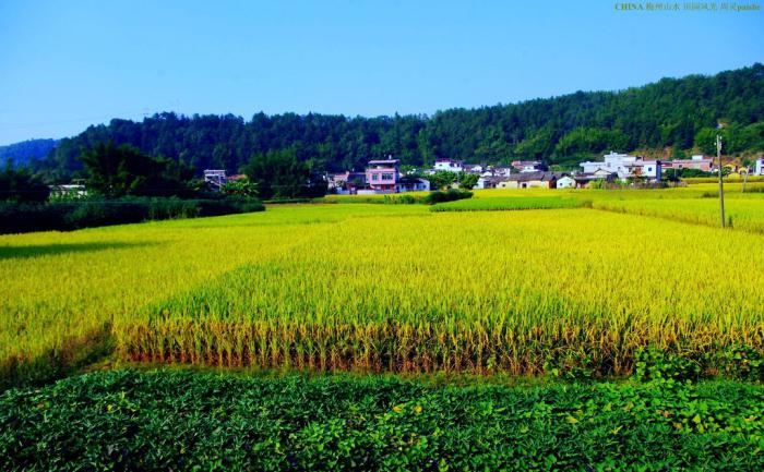 乡村田园高清图片牛品源码-源码下载-源码社区-zblog主题插件-PHP源码-三合一源码-直播源码-短视频源码-APP源码-即时通讯-源码-交友源码牛品源码网