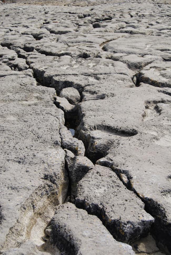 裂开的水泥地面图片牛品源码-源码下载-源码社区-zblog主题插件-PHP源码-三合一源码-直播源码-短视频源码-APP源码-即时通讯-源码-交友源码牛品源码网
