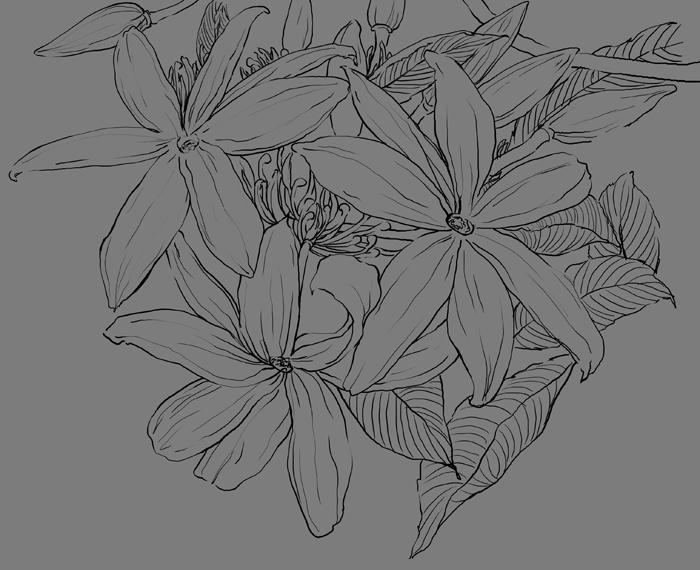 素描风信子花瓣牛品源码-源码下载-源码社区-zblog主题插件-PHP源码-三合一源码-直播源码-短视频源码-APP源码-即时通讯-源码-交友源码牛品源码网