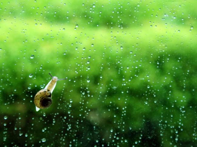 雨唯美伤感意境图片牛品源码-源码下载-源码社区-zblog主题插件-PHP源码-三合一源码-直播源码-短视频源码-APP源码-即时通讯-源码-交友源码牛品源码网
