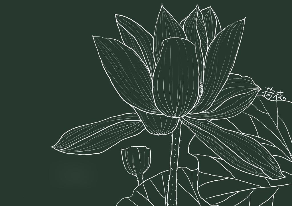 简单荷花素描牛品源码-源码下载-源码社区-zblog主题插件-PHP源码-三合一源码-直播源码-短视频源码-APP源码-即时通讯-源码-交友源码牛品源码网