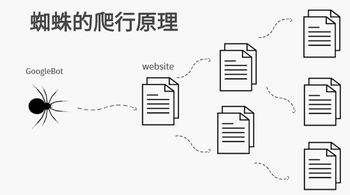搜索引擎蜘蛛是如何判断网站是否优质？